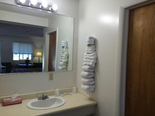 een badkamer met een wastafel en een spiegel bij Port Lodge Motel in Pulaski