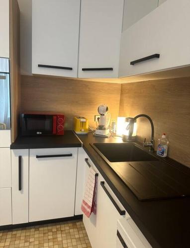 une cuisine avec un évier et un micro-ondes dans l'établissement Charmante maison 10 mn Center Parcs Ailette, à Laon