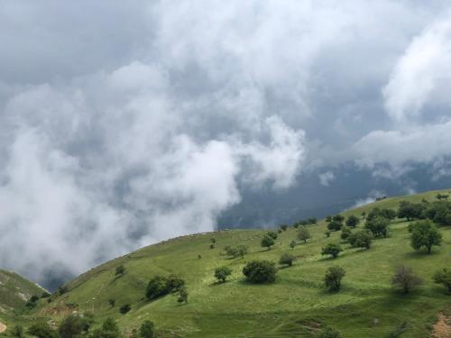a green hill with trees and a cloudy sky at Guesthouse Kontogianni - Materka in Nymfaio