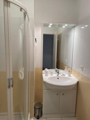 a bathroom with a sink and a shower with a mirror at Le Lotois les Ondines in Souillac