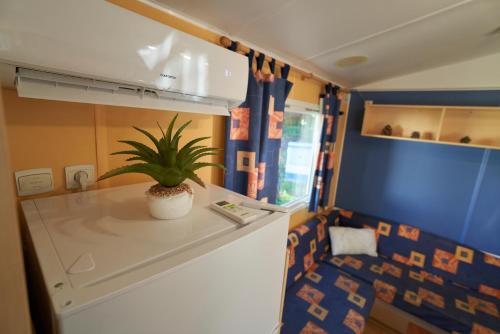 a potted plant sitting on a counter in a room at ZALUAY - Mobile Homes in Isla Cristina