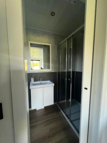 a bathroom with a sink and a mirror at Au p'tit pré des salers in Hamois