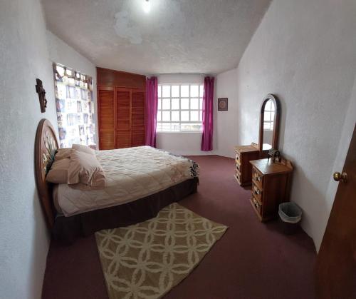 帕丘卡德索托的住宿－Casa Tuzos，一间卧室设有一张床和一个窗口