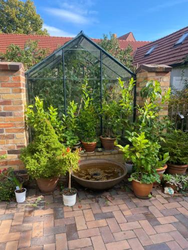 a group of potted plants in front of a greenhouse at Ferienwohnung im Dreiseitenhof in Großräschen