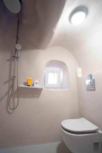 Bird Nest-Santorini Cave houses