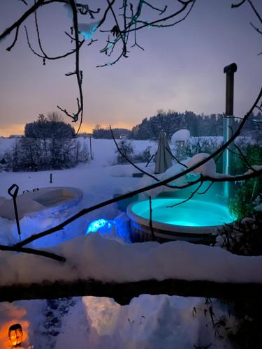 Kolam renang di atau dekat dengan Tiny House Igluhut