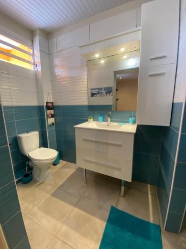 a bathroom with a sink and a toilet and a mirror at L'OCEAN BLEU DES ANSES in Quartier du Fond Fleuri