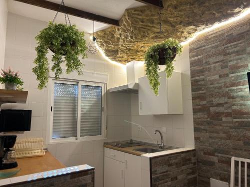 uma cozinha com vasos de plantas pendurados no tecto em Casa entre Rocas Setenil em Setenil