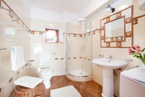 ein Badezimmer mit Dusche, Toilette und Waschbecken in der Unterkunft Villa Dina sa bazenom in Marčana