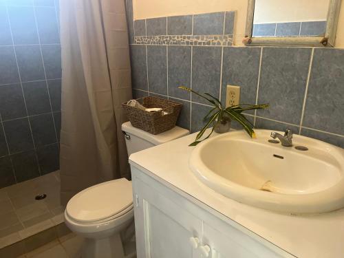 Bagno di hostal Camping la ygriega