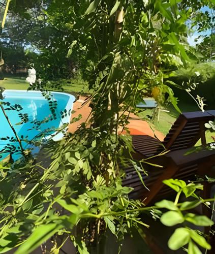 a swimming pool with two chairs and a tree at Cabañas con piscina en la entrada de Oberá in Oberá