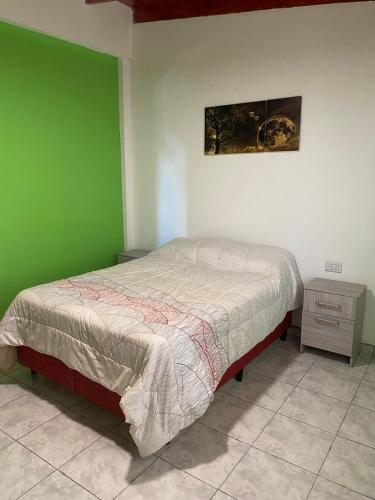 een slaapkamer met een bed en een groene muur bij CATALINA 2 in Neuquén