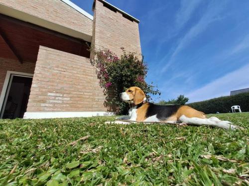 La casa del campito – Photos 4