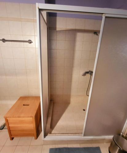 a shower with a glass door in a bathroom at Dilion Guest Apartment in Dhílesi