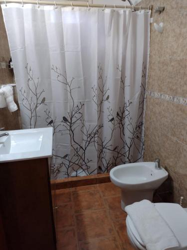 y baño con cortina de ducha, aseo y lavamanos. en Cabañas Magnolia en Villa Pehuenia