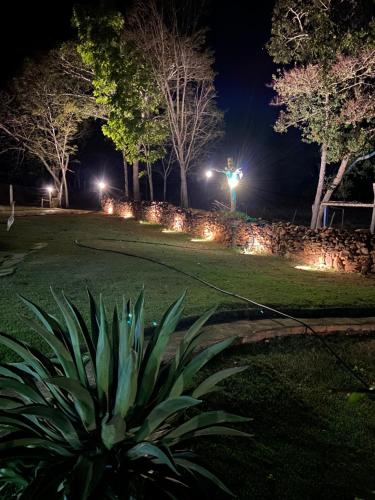 uma planta num quintal à noite com luzes em Rancho Bonanza Piri em Pirenópolis