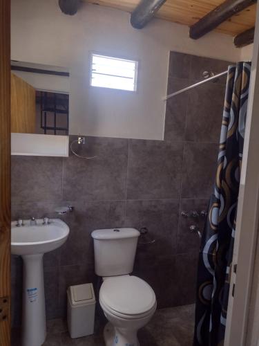 ein Bad mit einem WC und einem Waschbecken in der Unterkunft Cabaña árbol de Nonsacate in San Marcos Sierras