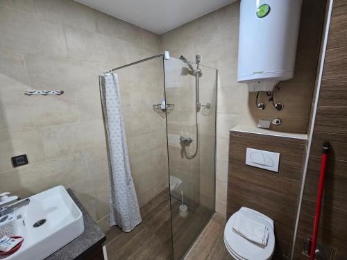 a bathroom with a shower and a toilet and a sink at Milmari Resort P41 in Kopaonik