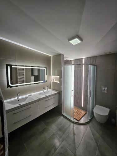 a bathroom with a shower and a sink and a toilet at Apartman Jovanic in Divčibare