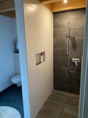 W łazience znajduje się kabina prysznicowa i toaleta. w obiekcie Ferienhaus Annemie w mieście Markt Erlbach