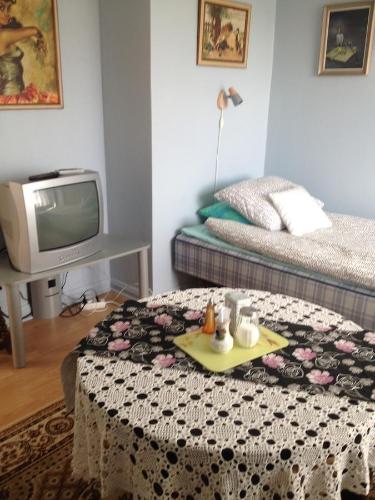 TV a/nebo společenská místnost v ubytování Vivans Bed and Self catering