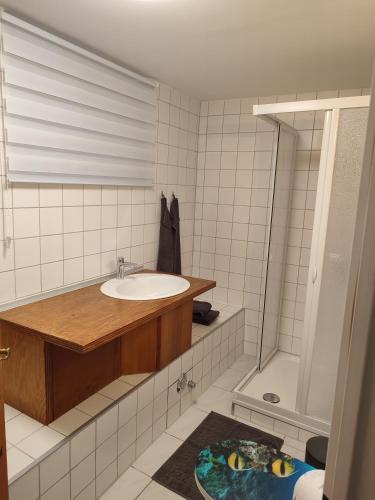 a bathroom with a sink and a bath tub at Wohnen an der Stadtmauer in Neuruppin