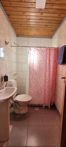a bathroom with a toilet and a sink and a shower at Cabaña El Médano in Perito Moreno
