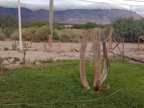 Los Chañares – Photos 3