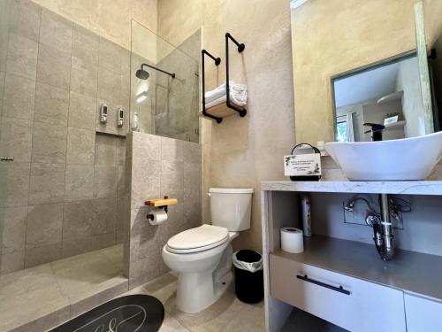 ein Bad mit einem WC, einem Waschbecken und einer Dusche in der Unterkunft Loft Sofía en Val'Quirico in Santeagueda
