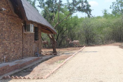 a house with two animals standing next to a building at Kruger Nest in Marloth Park