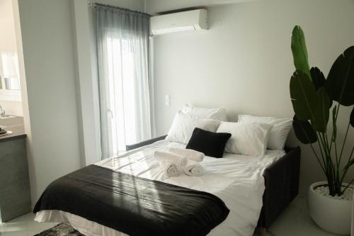 Siesta apartment Ioannina