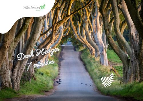 a road lined with trees with the words dont judge miracles at The Ferns-Ideal base for exploring the Causeway Coast in Armoy