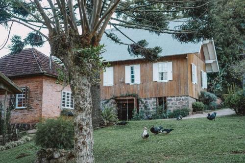 Taman di luar Borgo 28 Gramado