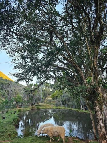 Landskap semula jadi dekat dengan rumah percutian