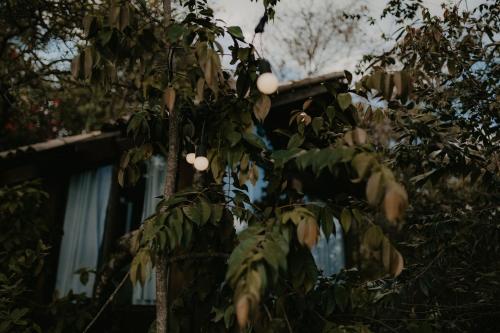 Casas Lago Paranoá – Photos 2