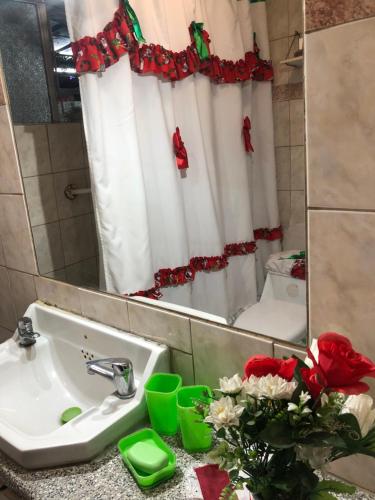 baño con lavabo, espejo y flores en Don Quijote Family Homestay, en Santiago