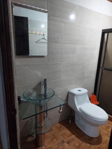 La salle de bains est pourvue de toilettes et d'un lavabo en verre. dans l'établissement Anchia, à Alajuela