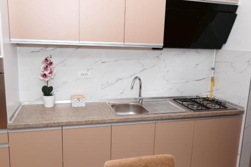a kitchen counter with a sink and a stove at Millennium Apartment in Bačka Palanka