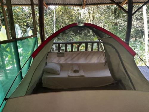 ein Zelt mit einem Bett darin in der Unterkunft Rio Agujitas Eco Farm hostel and Tours in Drake