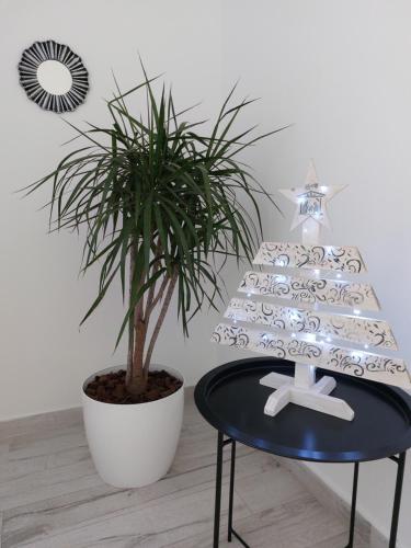 une table avec un arbre de Noël à côté d'une plante dans l'établissement Don Quijote Tandil, à Tandil