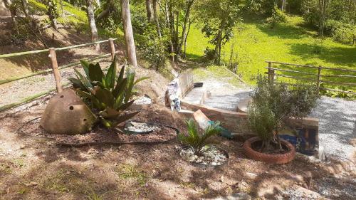 a group of potted plants in a garden at Kitnet em meio à mata Atlântica in Juquitiba