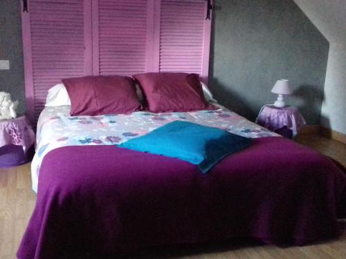 een slaapkamer met een groot bed en een paarse deken bij Gîte Saint-Léonard-des-Bois, 5 pièces, 7 personnes - FR-1-410-179 in Saint-Léonard-des-Bois