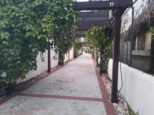 a walkway with a pergola with plants on it at Acogedor apartamento a un paso de la playa in Juan Dolio