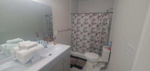 een badkamer met een wastafel, een toilet en een douche bij Cozy newly renovated house in Petersburg
