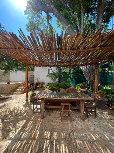 Κήπος έξω από το Casa de la Luz