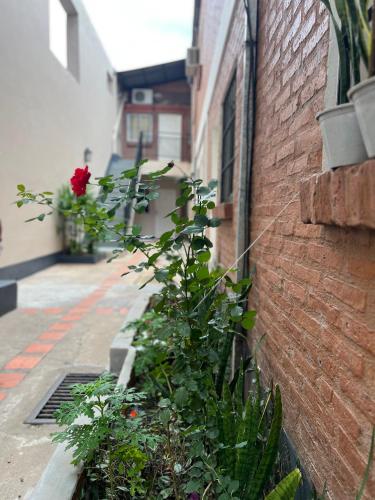 Monoambiente en Junin – Photos 2