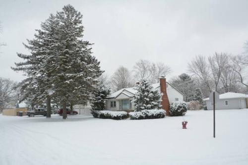 a house with snow covered trees in a yard at Square Toe's Last Resort in New Buffalo
