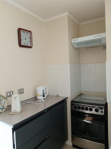 Kuchyň nebo kuchyňský kout v ubytování Departamentos Sebastián