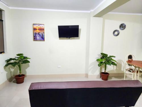 ein Wohnzimmer mit einem Sofa und zwei Topfpflanzen in der Unterkunft Karibana in Huarmey