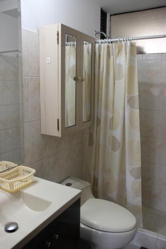 y baño con aseo, lavabo y ducha. en Hermoso departamento de dos dormitorios en el primer piso en Lima
